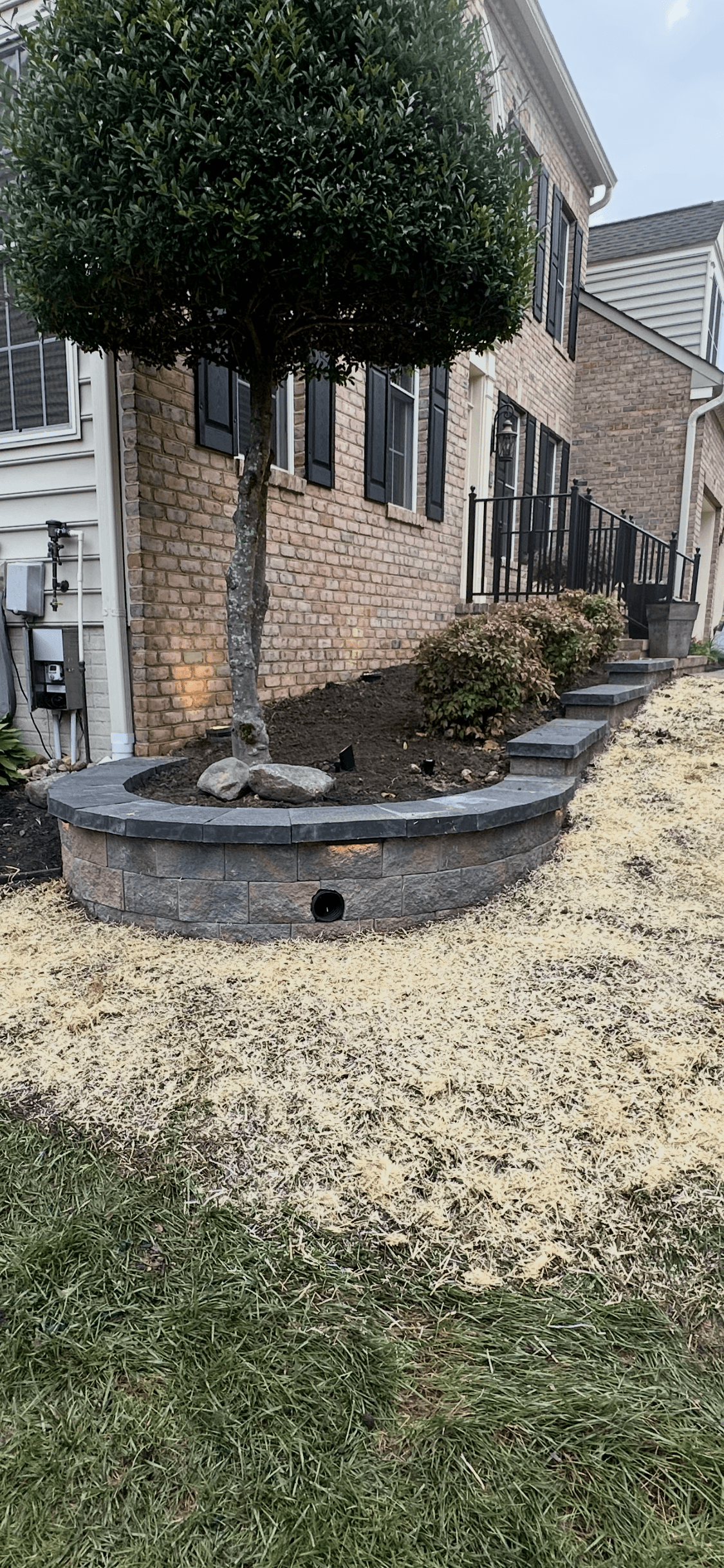 Curved stone retaining wall with drainage around established tree and front steps