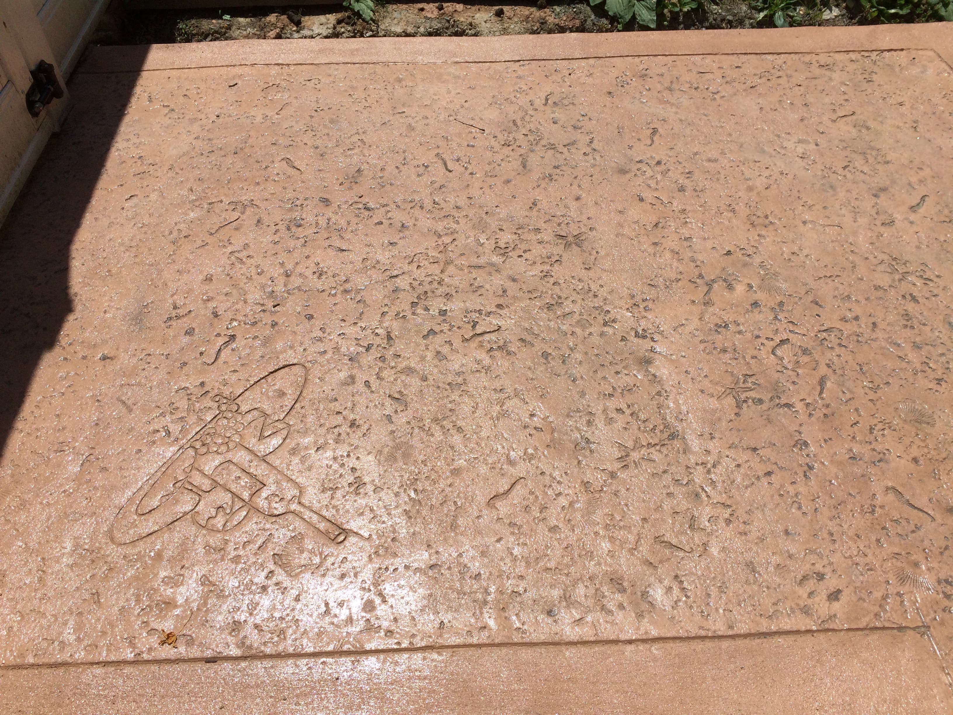 Sea Shells stamped concrete pattern